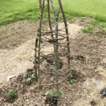 stick trellis